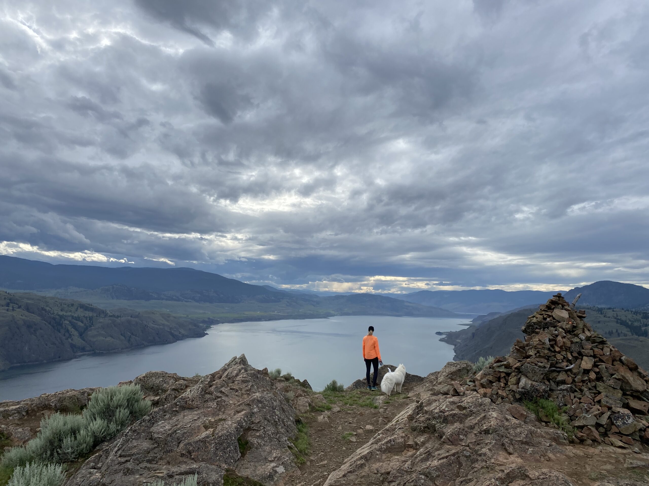 A summer of summits