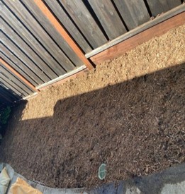 Growing together: Reimagining lawns, my sheet mulching experiment