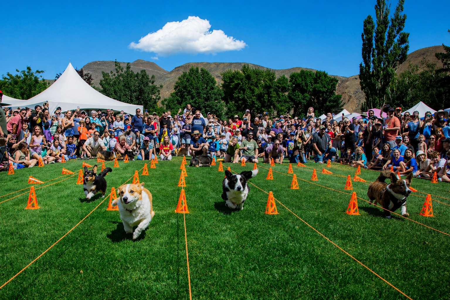 Overlander Days returns to fill Brocklehurst Park with food, fun, and community spirit